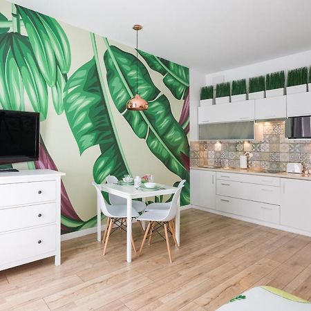 Cozy Modern Studio Green Apartment In Old Town Cracovia Exterior foto